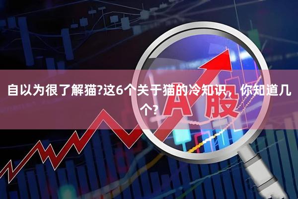 自以为很了解猫?这6个关于猫的冷知识，你知道几个?